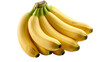 © mod - Fresh vibrant bananas bunch ready to eat for healthy lifestyle and delicious tropical fruit recipes