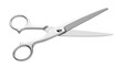 © Ahmad - Silver scissors open isolated on white background