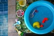 © 奈波 久保田 - Inflatable Blue Swimming Pool and Colorful Water Toys on the Tile Floor (Summer Vacation)