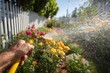 © Marina Demidiuk - Person using a hose to water the garden, with colorful flowers and greenery in the background. Gardener Hand holding the spray head of the watering gun over the backyard green plants. Summer sunny day