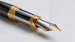 © Ruslan Gilmanshin - Luxurious fountain pen with ornate gold and silver details