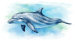 © A B I G A I L - Watercolor illustration of a smiling dolphin swimming in the ocean.