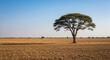 © Lemdah - Single tree in a vast, dry savanna landscape under a clear, pale blue sky