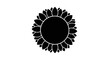 © Z Z K V V C Art - Black and White Sunflower Illustration with Detailed Petals.