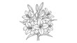 © RAMS - Elegant Lily Flower Bouquet Illustration on White Background