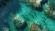 © Surasak-Art - Underwater Scene with Clear Blue Water and Group of Fish Swimming Among Rocky Coral Reefs in Vibrant Nature