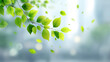 © Keopaserth - Fresh green leaves on slender branch with sunlight filtering through soft blurred background, gentle breeze lifting few leaves conveying calm natural freshness