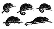 © Niken - Set of Five Black Chameleon Silhouettes on Branches.