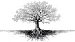 © titik - Black and white illustration of a large tree with exposed roots and bare branches against white