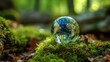 © mila103 - A glass globe with a blue and green earth inside. The globe is sitting on a mossy patch of ground