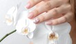 © bakso - Close-up of a hand with manicured nails gracefully resting upon delicate white orchid blossoms, soft lighting