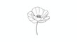 © ENDRY - Simple poppy flower outline on white background.