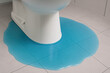 © tanapat - Problematic toilet leak with blue water damage on bathroom floor. This messy plumbing problem requires immediate repair