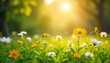 © Sunisa - Sun-dappled Wildflowers Idyllic Summer Meadow Landscape, Peaceful Serenity and Joy