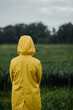 © anyatachka95 - Person in a yellow raincoat standing in a lush green field on a rainy day.