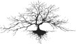 © cac_tus - Bare tree sketch hand drawn silhouette with exposed roots on white background. Vector illustration