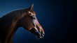 © A2Z AI  - Elegant equine portrait: a striking brown horse head shot against a dark blue backdrop, capturing the animal's graceful profile and refined features in exquisite detail.