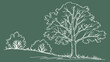 © kinza ali - Elegant tree line art illustration, perfect for nature designs, landscaping visuals, or botanical themes, adding a touch of organic style to any project