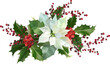 © milavas - Floral Christmas composition with poinsettia