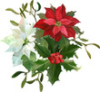 © milavas - Floral Christmas composition with poinsettia