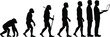 © Arman World - Vector silhouette illustration of human evolution stages from primate to modern businessman holding a laptop computer isolated on white background