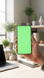 © MD Rashedul Islam - Hand holding mobile smartphone with blank green screen chroma key for mockup in cozy home office interior with laptop notebook and plants background for business app display