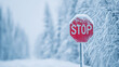 © A2Z AI  - A red stop sign covered in snow on a frigid winter day, surrounded by snow-covered trees, indicates a point where caution is necessary. Winter weather driving safety.