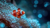 Vibrant clownfish swimming near sea anemone in underwater scene