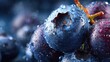 © ArtoryStock - 'Photorealistic close-up of fresh blueberries, textures, subtle water droplets, soft lighting, immersive macro perspective for food illustration or digital projects.