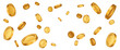 © Cali6ro - Vector gold coins fall from the sky. PNG money, png coins. Explosion of coins on isolated transparent background. Easy Money. Vector 10 eps.