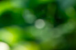 © Wiratri - green bokeh background
