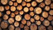 © Maryna - Pile of tree logs for winter. Timber industry with wood texture. Round firewood pattern, closeup on logs heap. Renewable energy fuel, chop wood material backdrop. Abstract eco nature concept for