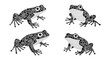 © Cezar_911 - Abstract dot art frogs in monochrome with unique geometric patterns