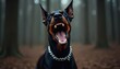 © Maryna - Doberman dog barks aggressively in forest. Open mouth shows sharp teeth and tongue. Dark fur animal wears silver chain collar. Fierce guard dog shows wild protective nature.