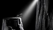 © Harsha - Inspirational macro shot captures tiny ant standing bravely at the edge of a dark cliff illuminated by a single dramatic spotlight,Generated Image
