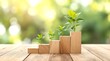 © Asawin - growing plant on wooden steps that represent growth and development, symbolizing the concept of business success