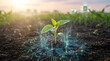 © abdul studio - Close-up of a small seedling growing in fertile soil with digital agriculture visualization of future technology in a bright natural environment