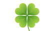 © Budi Studio - A beautifully rendered illustration of a vibrant green four-leaf clover, universally recognized as a potent symbol of good luck, hope, and unexpected fortune, perfect for celebratory designs