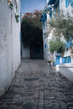 rue tourstique a sidi bousaid tunisie