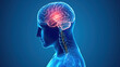 © 波 刘 - Glioma: Primary Brain Tumor Arising from Glial Cells—Types Include Astrocytoma, Oligodendroglioma & Glioblastoma, Diagnosed via MRI/CT Scans & Biopsy, Treated with Surgery, Radiation, Chemotherapy & T