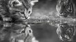 © mila103 - A small cat gazes at its reflection in water while a tiger watches from a short distance. The scene presents a unique moment in nature during daylight hours.