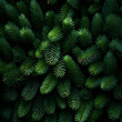 © linda_vostrovska - Fir branches green needle abstract background Christmas texture. Square composition.
