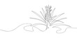 © Proongnee - Pineapple plant in one continuous line simple linear style. Doodle vector illustration Editable stroke.