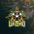 © Ahmadbrutalism666 - Wizard mascot logo design vector. Wizard illustration for sport and esport team.