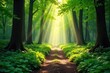 © vilavanh - Sun-dappled forest path winds through lush greenery, sunlight filtering through leaves creating a magical atmosphere Perfect for nature, travel, and fantasy themes , magical, texture