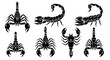 © M FAIZAL - Dynamic scorpion collection showcasing powerful predatory creatures in various striking poses, perfect for bold design projects
