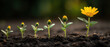 © wanavit - Business concept young yellow flower growth stages in soil showing progress and hope