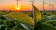 © Sahriar - Green crop leaves with water drops at sunset. Renewable energy and sustainable farming. Plant foliage in field with wind turbines in background.