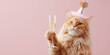 © StokHunt - Cat celebrating party wearing a hat with sparkler and holding a glass of champagne, happy birthday or new year