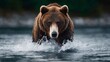 © Nataliia_Trushchenko - Powerful brown bear emerging from water, showcasing strength and determination, with splashes surrounding its paws, highlighting the beauty of wildlife in natural habitat